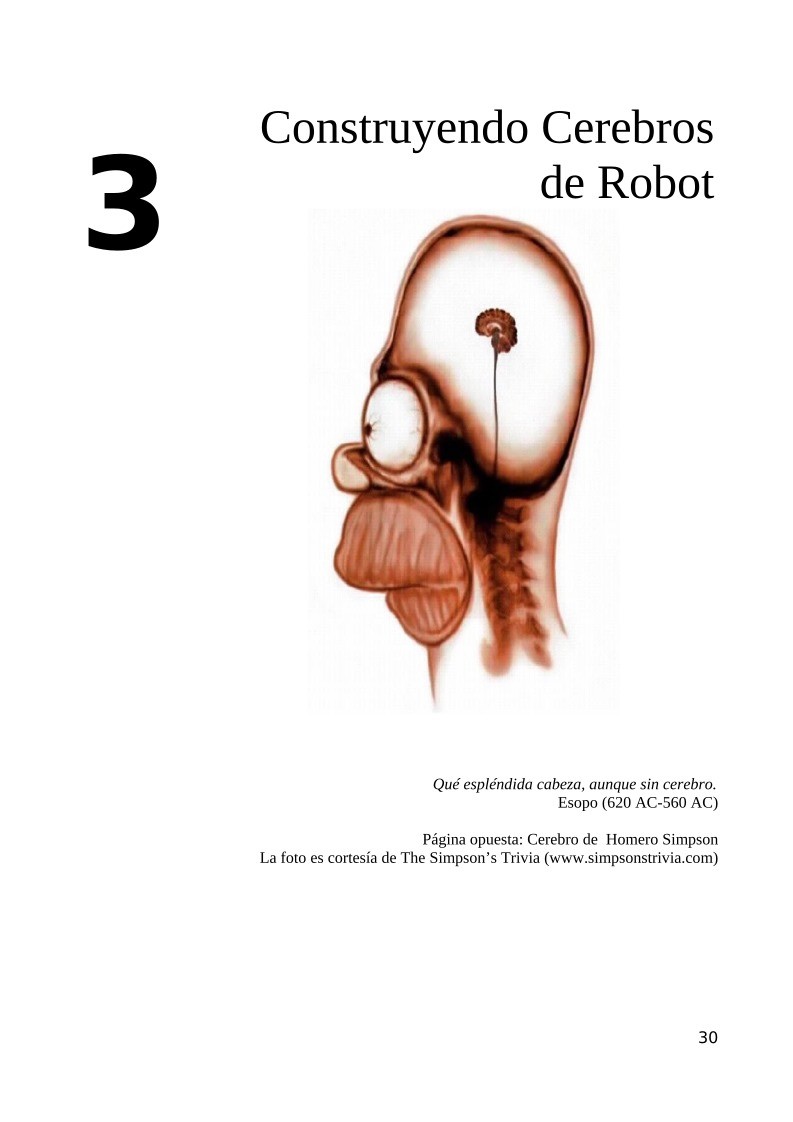 Imágen de pdf 3 - Construyendo cerebros de Robot