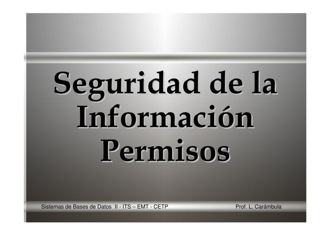 Imágen de pdf Seguridad de la Información Permisos