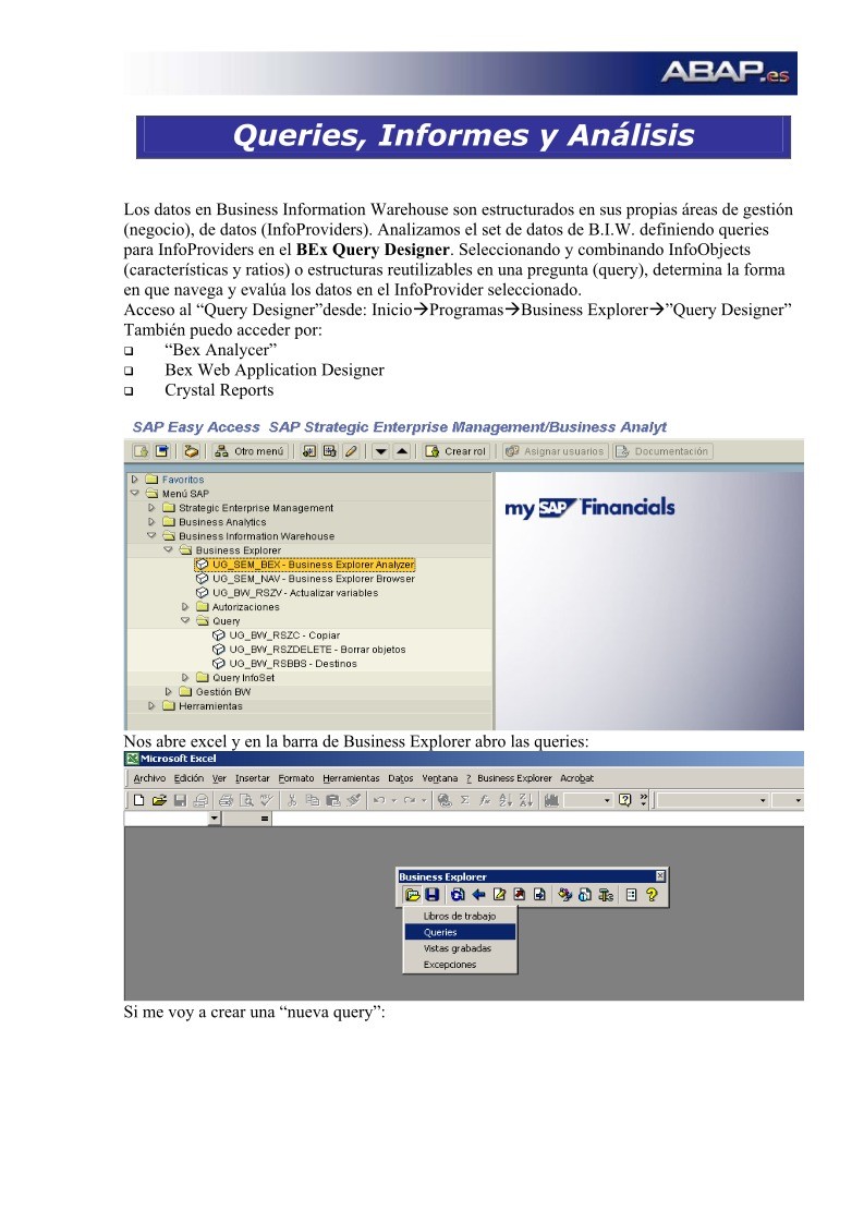 Imágen de pdf ABAP: Queries, Informes y Análisis