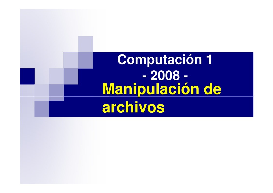 Imágen de pdf Computación 1 - 2008 - Manipulación de archivos