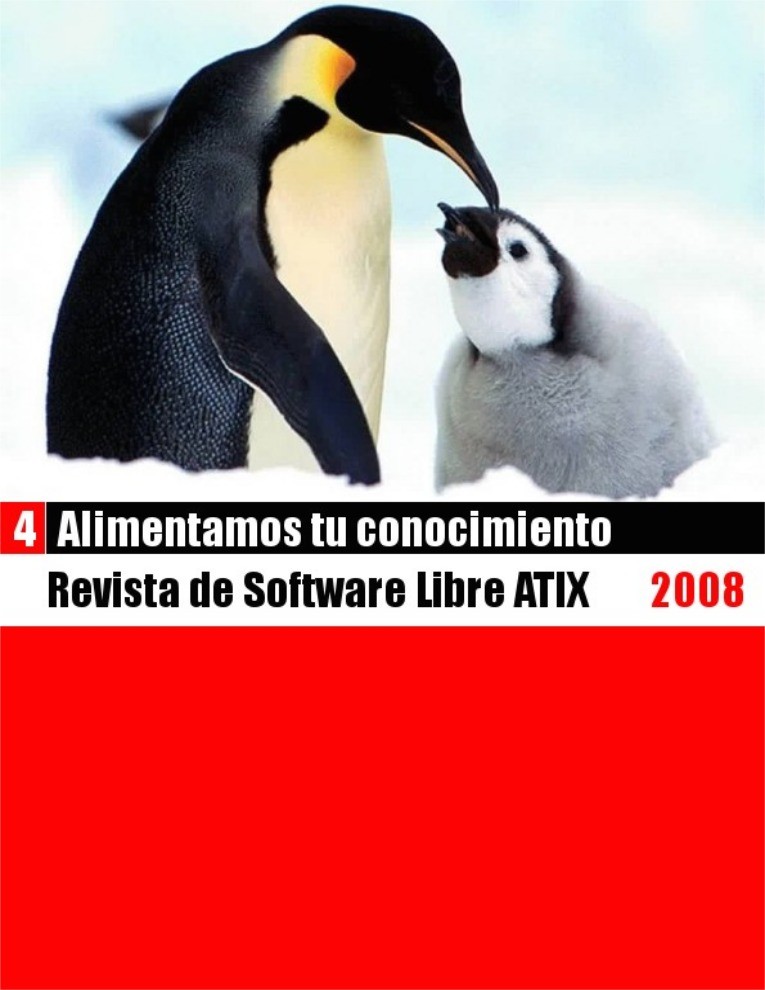 Imágen de pdf atix04 2008