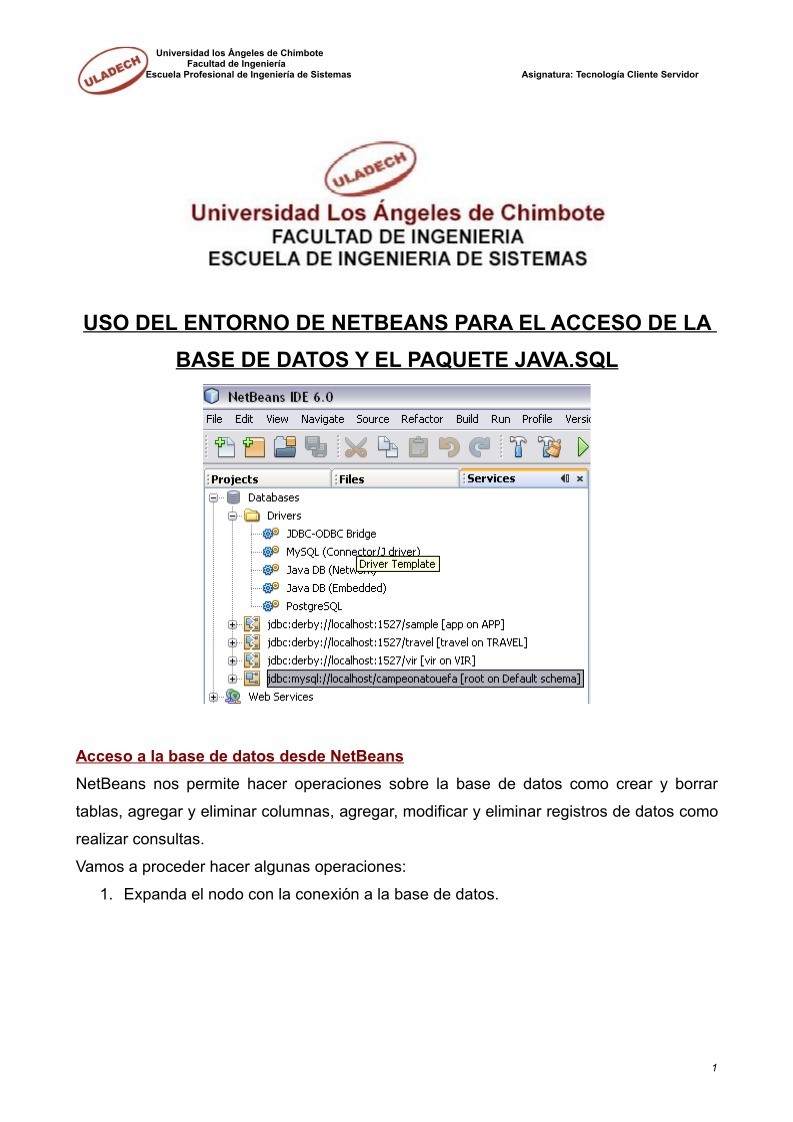 Imágen de pdf Uso del entorno de Netbeans para el acceso de la base de datos y el paquete java.SQL