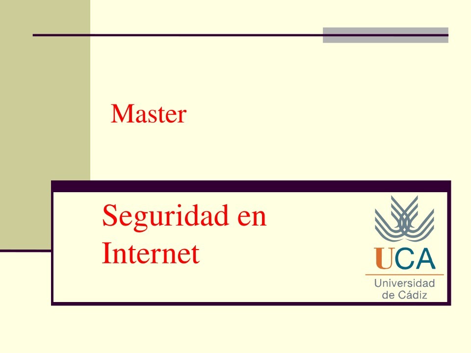 Imágen de pdf Seguridad en Internet