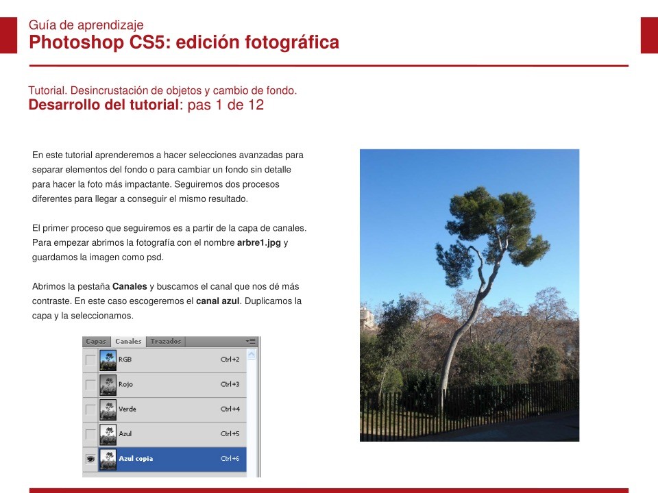 Imágen de pdf Tutorial. Desincrustación de objetos y cambio de fondo - Photoshop CS5: edición fotográfica - Guía de Aprendizaje