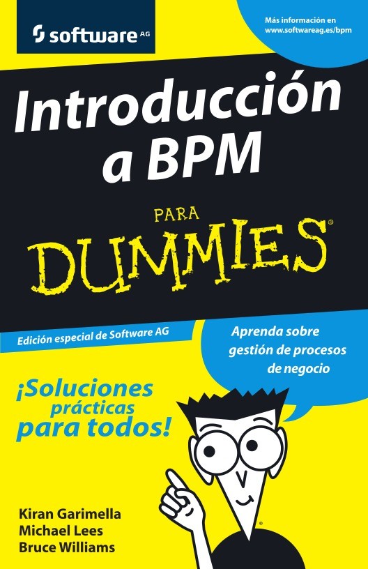 Imágen de pdf Introduccion a BPM para Dummies