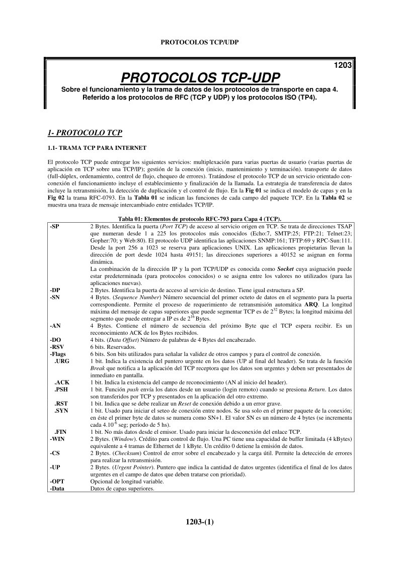 Imágen de pdf Protocolos TCP-UDP