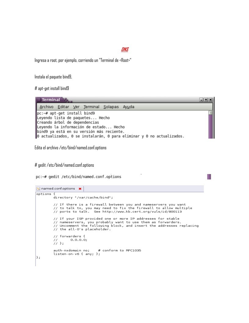 Imágen de pdf Pasos para configurar un dominio DNS con BIND