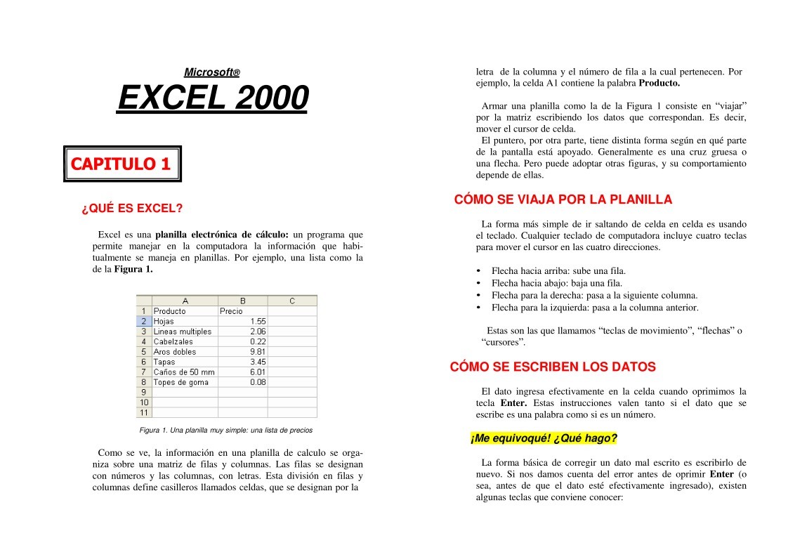 Imágen de pdf Excel 2000