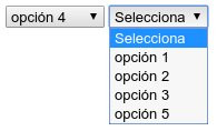 select-opcion-econdida