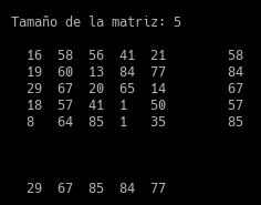 array-bidimensional-maximos