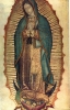 Imágen de perfil de Reynaldo Disla