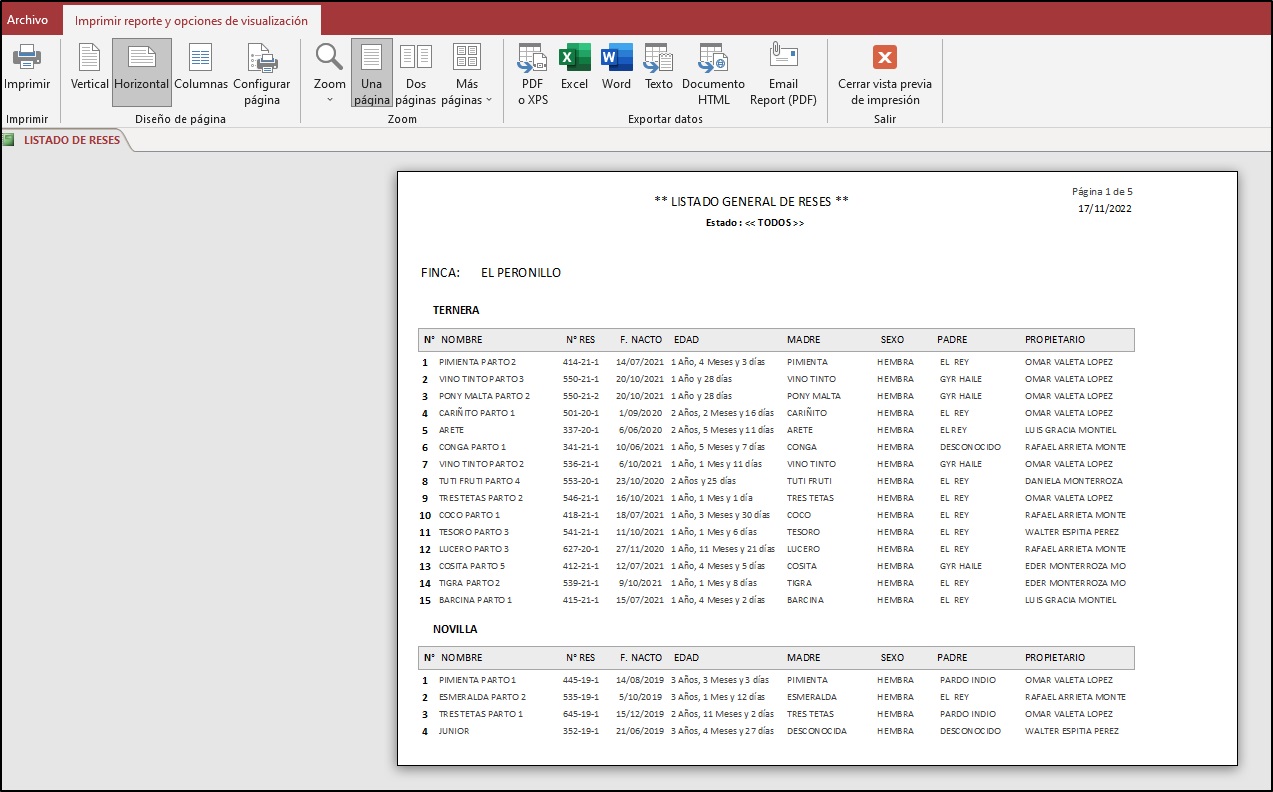 zoom_informe