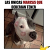Ampliar imágen de perfil de Morela Imágen de perfil de Morela