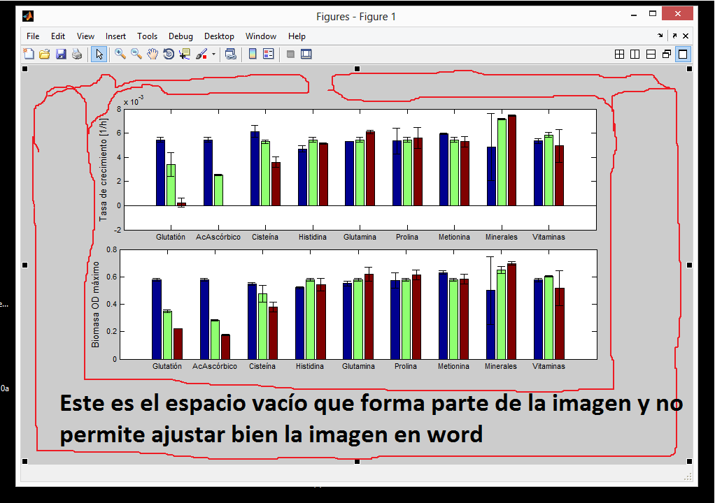 Foro-Matlab