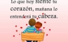 Imágen de perfil de narcisa sanchez