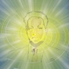 Imágen de perfil de vidad