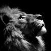 Imágen de perfil de Imax