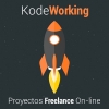 Imágen de perfil de kode working