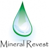 Imágen de perfil de mineralrevest www.mineralrevest.com