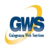 Imágen de perfil de Galegomca Web Services