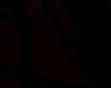 Imágen de perfil