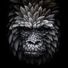 Imágen de perfil de Deimos gael