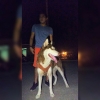 Imágen de perfil de Jaime Medrano
