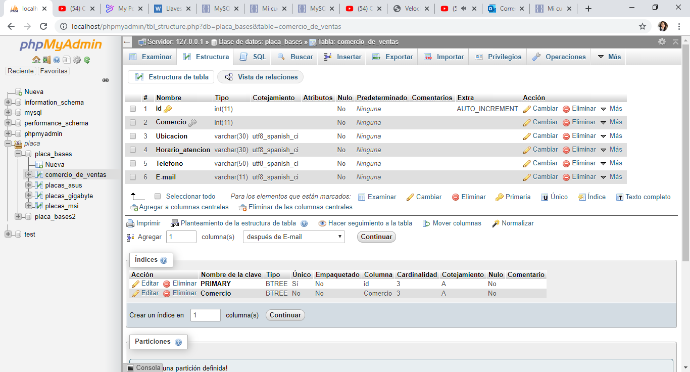 localhost-_-127.0.0.1-_-placa_bases-_-phpMyAdmin-4.9.1-Google-Chrome-18_11_2019-02_54_30-p-m