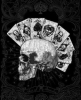 Imágen de perfil