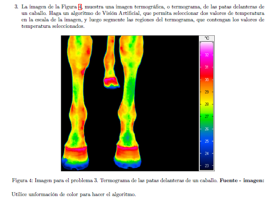 tareavision