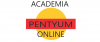 Imágen de perfil de Academia Pentyum