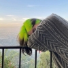Imágen de perfil de Billie Cande