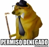 Ampliar imágen de perfil de Saulo Imágen de perfil de Saulo