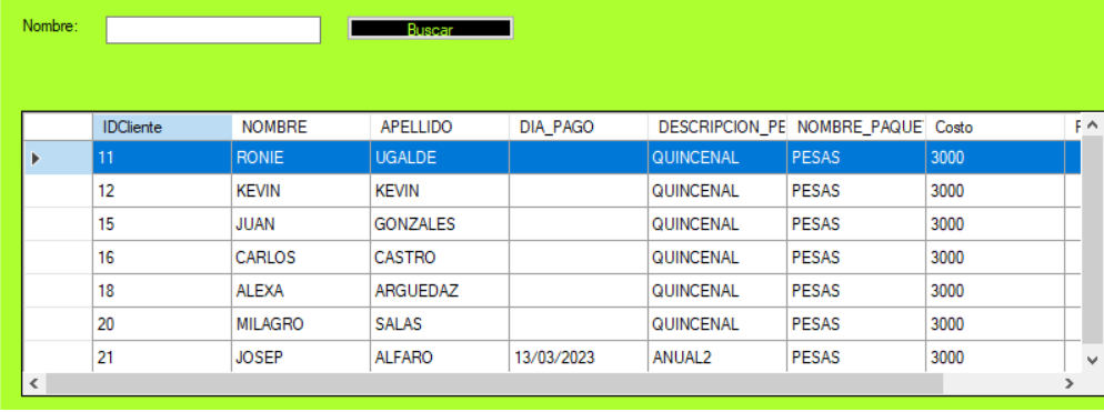 Datos-en-el-DataGrid